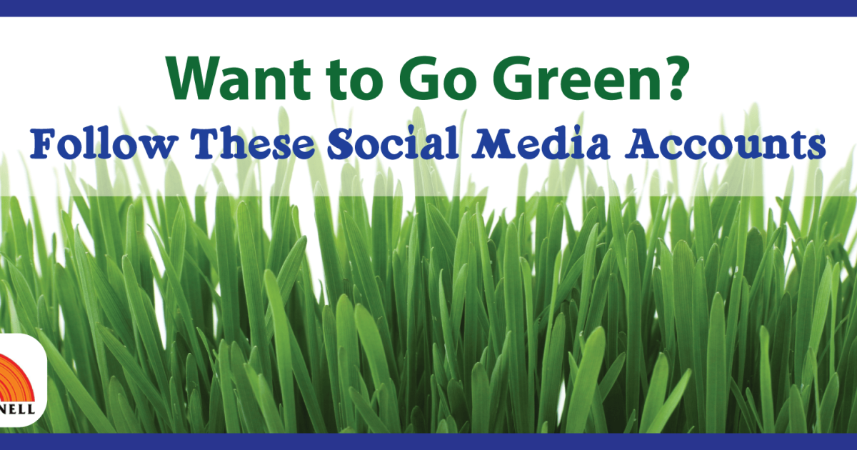 Want to Go Green? Follow These 8 Social Media Accounts
