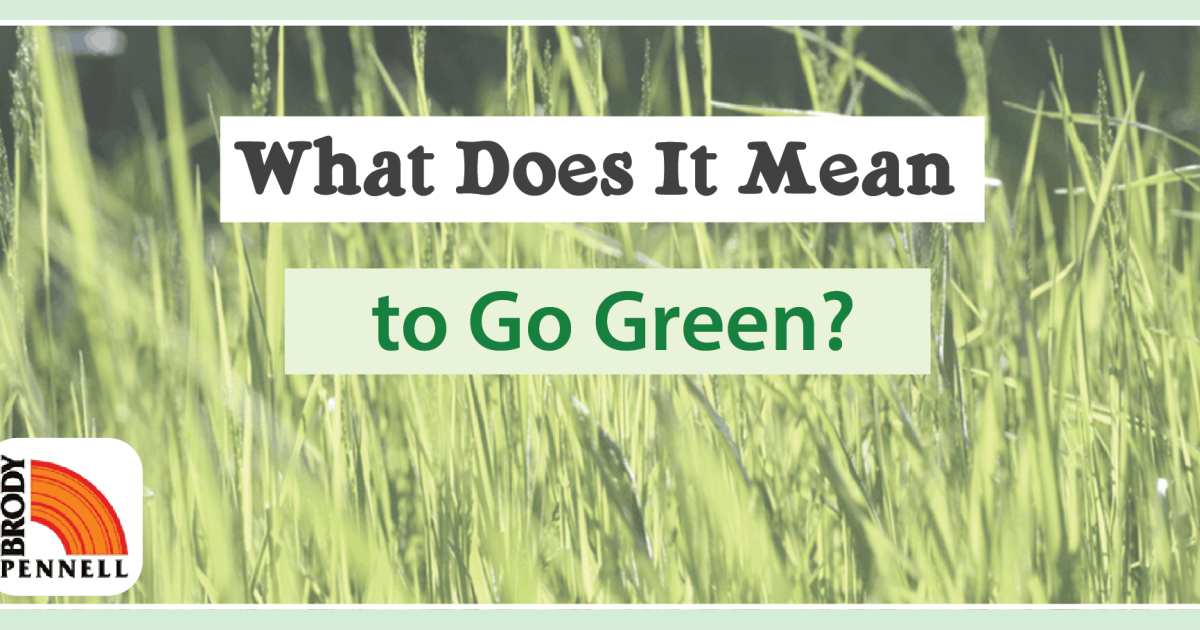 What Does it Mean to Go Green?